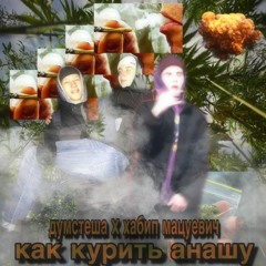 думстеша x хабип мацуевич - как курить анашу