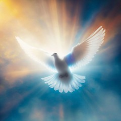 Dove