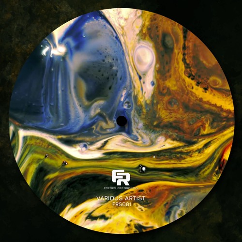 338# PREMIERE: MSR - Distortion Reality [Freres Recordings]