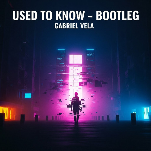 Somebody That I Used to Know (Tech House Bootleg)