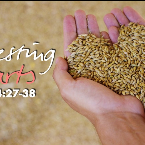 Harvesting Hearts - John 4:27-38 - Matthew Niemier