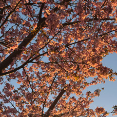 A Feeling I Like (Demo)