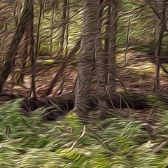 A Place Beyond Time