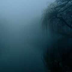 Twilight