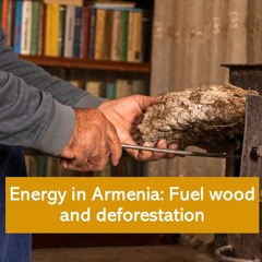 Energy in Armenia: Fuel wood and deforestation