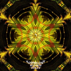 Kosmology Records Series #19 | Anton | Psy-Night / Dark