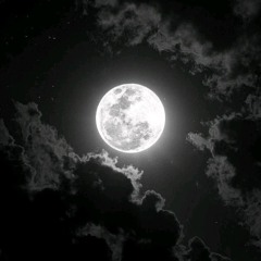 ‘’LUA’’ Dapista & DN