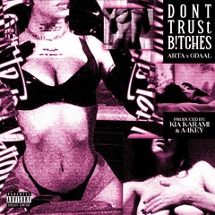 Don't Trust Bitches (Remix)