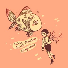 Cá Rim Cá Chô - Thịnh Suy (cover)