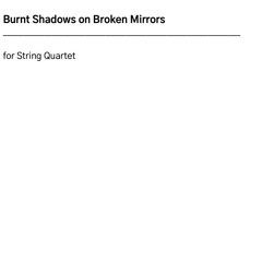 Burnt Shadows on Broken Mirrors
