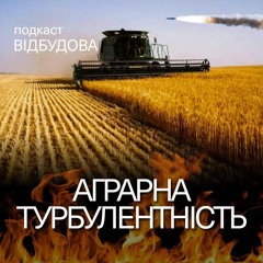 Уряд, фермери, війна. Як аграрка долає воєнні виклики? – Денис Башлик // подкаст «Відбудова»
