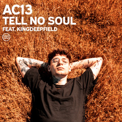 Tell No Soul (feat. King DeepField)