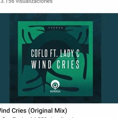 Wind Cries (Original Mix).mp3