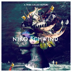 Niko Schwind - Amari [Snippet]