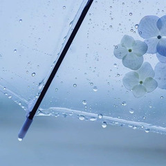 下了雨 (1vansolo)