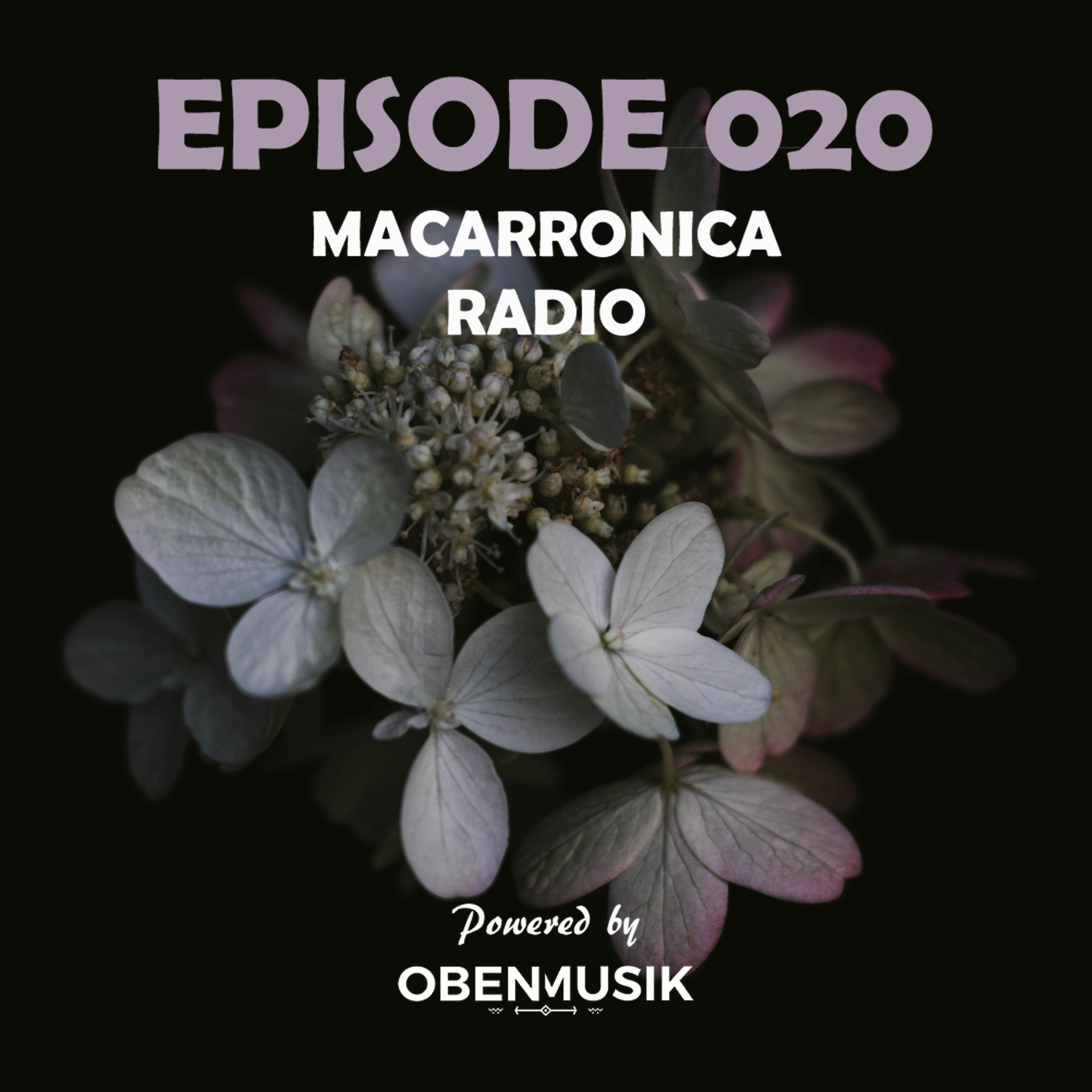 Macarronica (CH)
