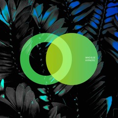 Who Else - Hypnotic (Original Mix) [AREA VERDE] Progressive House Premiere