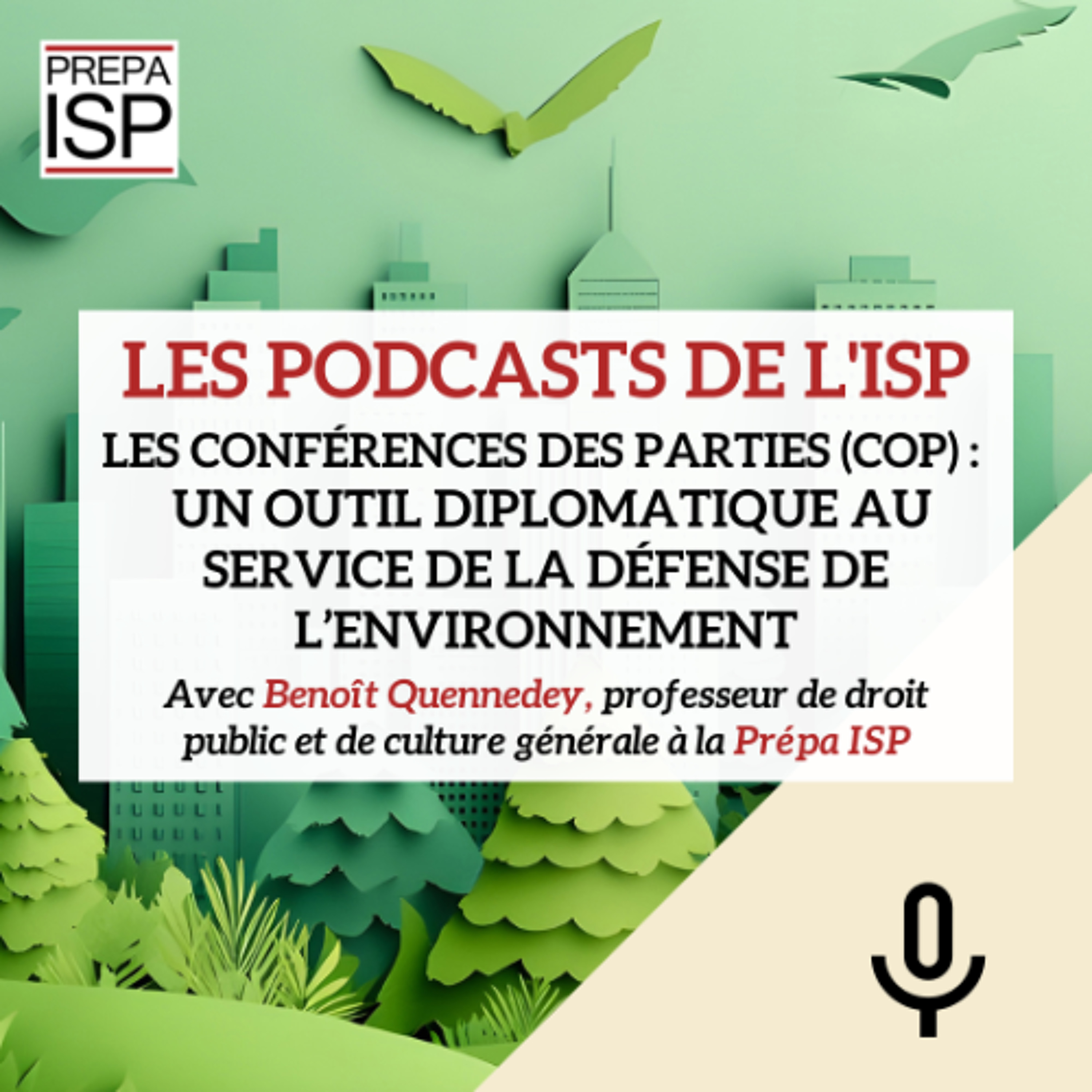 Les conférences des parties (COP)