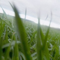 sorrow prod scooby :(;(◞‸◟