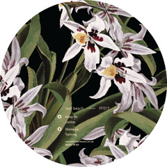 YF017 - leaf beach - Keep On
