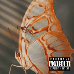 Butterflies - Huny Kome X Neptxne