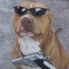 revolução das máquinas