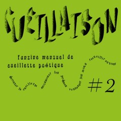 Cueillaison #2 : résonance et mouettes crieuses