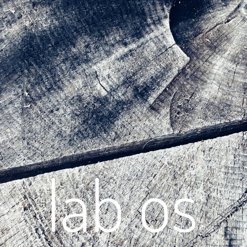 lab os #1