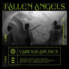 V/A IV - Fallen Angels [T-HIDDENS 0016]
