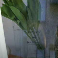 tellme (w stijn)
