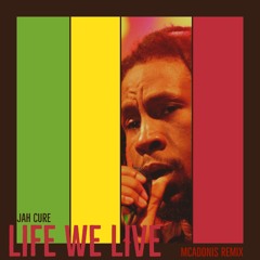 Life We Live (McAdonis Remix)