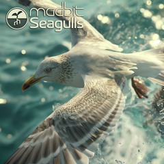 Seagulls
