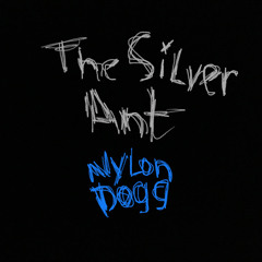 The Silver Ant —  5.21.24 [NYLON DOGG]