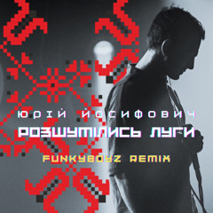 Юрій Йосифович - Розшумілись луги (Funkyboyz remix)