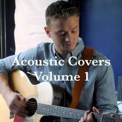 Leader of the Landslide- The Lumineers (cover by Pete Siner)