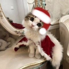 LAZERBLUE - All I Want For Christmas Is You FLIP (snowy. Flip) (Fax Flip) (ESKVY Flip) (Ireyte Flip) (Prox Flip) (willowind Flip) (AUTOMA Flip) (GeneralLucas Flip) (shiryusu_ Flip) (novvum flip) (HaloSPAM Music Flip) (yuzamei. Flip) [FREE]