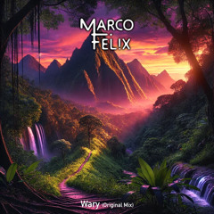 Wary - Marco Felix (Original Mix) - 123bpm - Fm