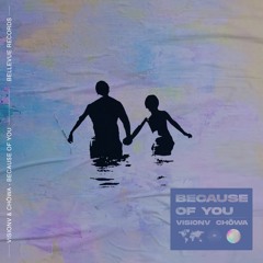 VisionV & Chōwa - Because Of You