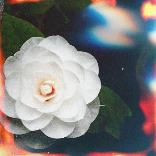 Bùi Lan Hương - Đóa Bạch Trà (Tibblouder Remix)