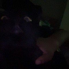 used to trust u prod pala*