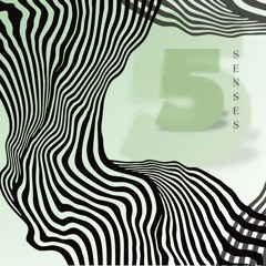 5 Senses