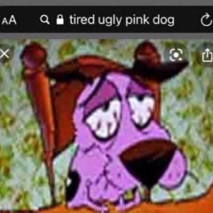 STEPPING CORRECT FREESTYLE PROD IVVYS ELXNCE