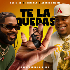 TE LA QUEDAS - BULIN 47, CHIMBALA, ALOFOKE MUSIC / DEMBOW DOMINICANO 🇩🇴