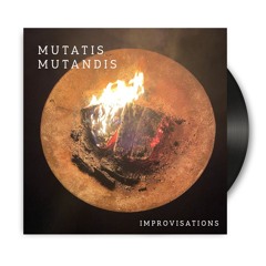 Mutatis Mutandis / Neotone Mutant Improvisations