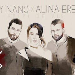 Dirty Nano X Alina Eremia - Aripi De Vis (Remix)