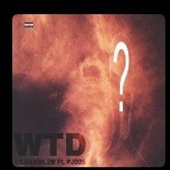 WTD ft Pjd2s