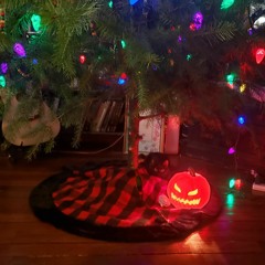 Brightest And Best (Heber)