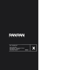DT:Premiere | Jamie Bissmire - The Geometry of Sound [Raw Raw]
