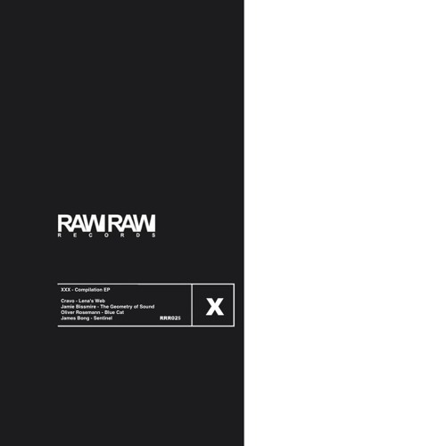 DT:Premiere | Jamie Bissmire - The Geometry of Sound [Raw Raw]