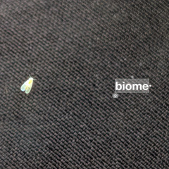 biome